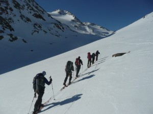 Walking on skins to the Langtaleckerhutte, Obergurgl